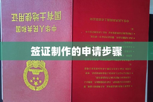 锡山签证制作的申请步骤